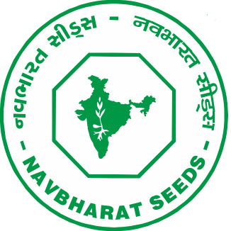 Center Image