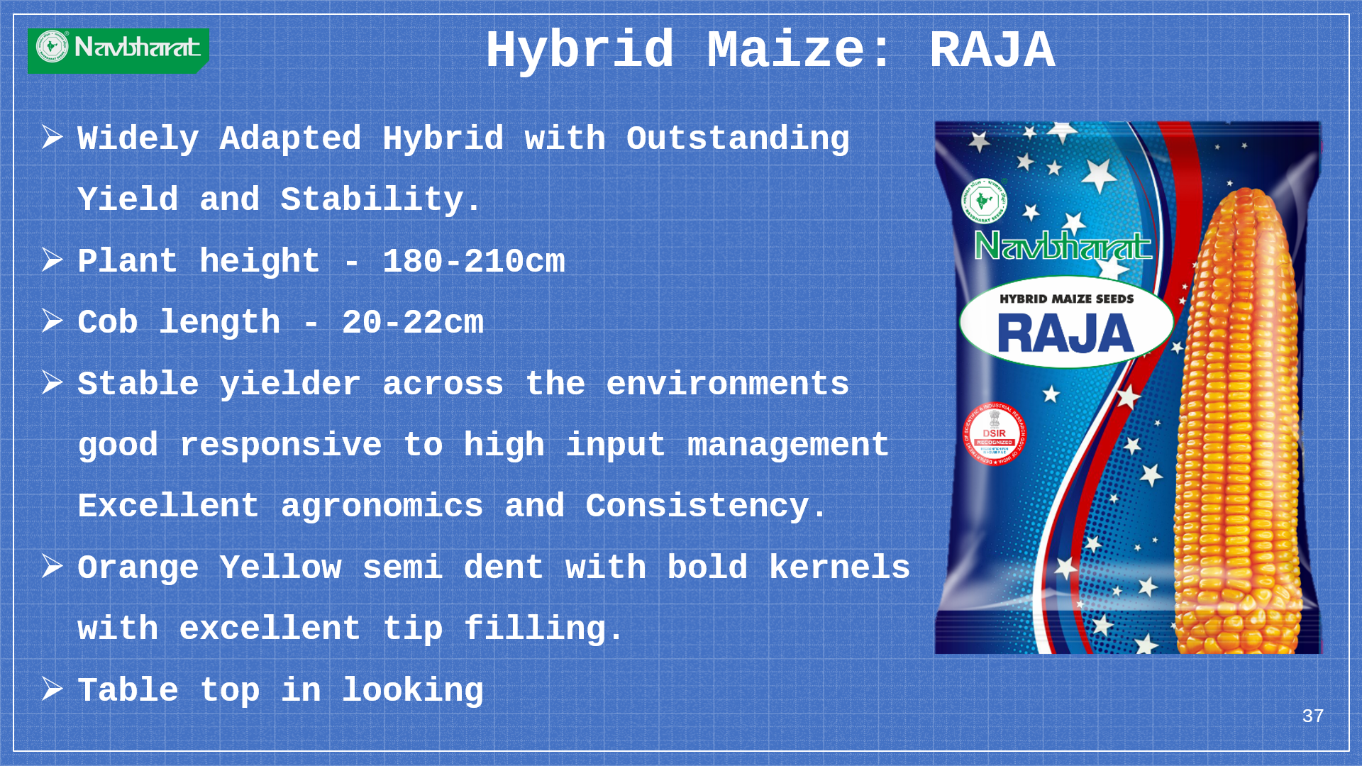 Brochure 1