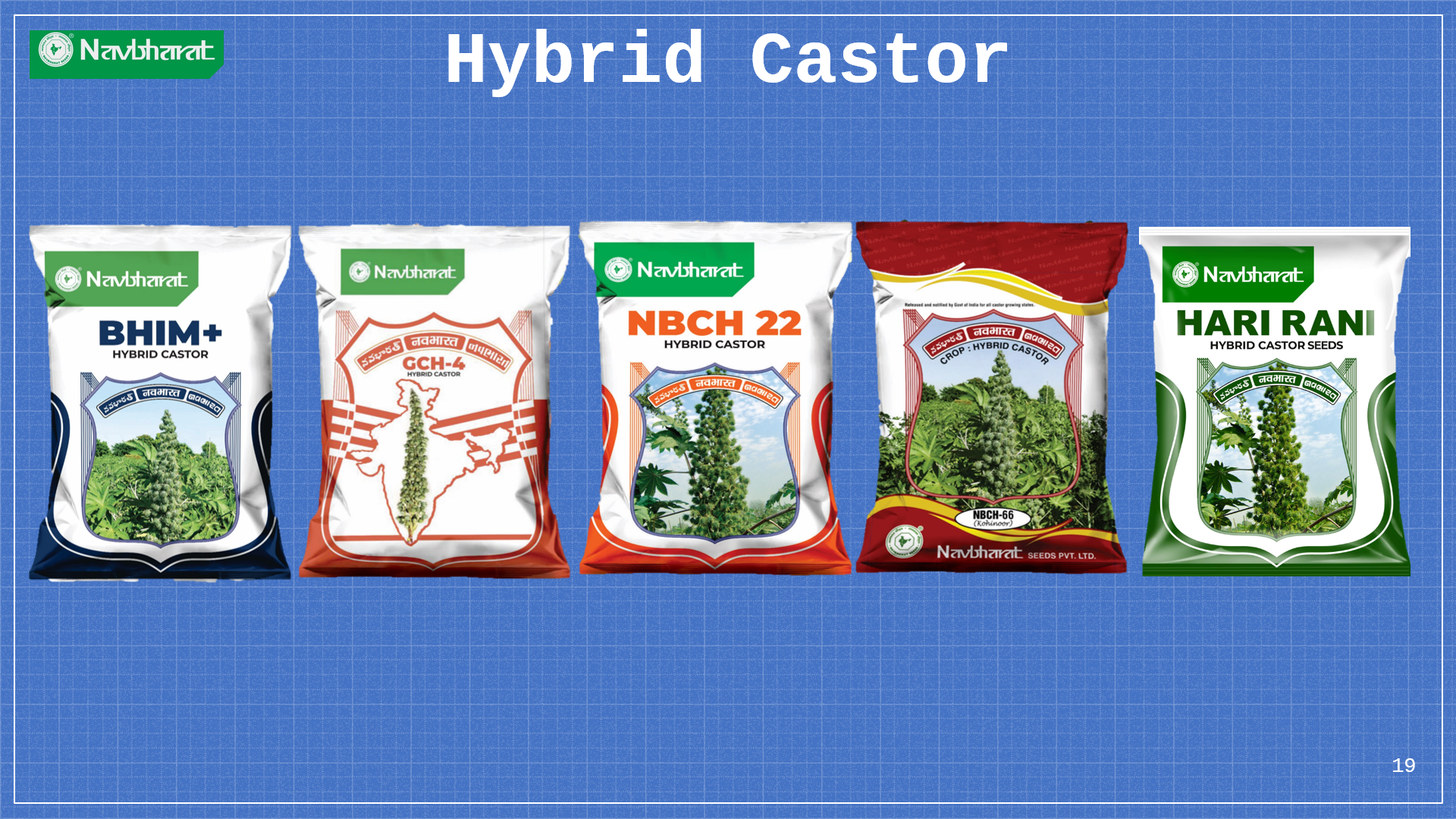 Brochure 2