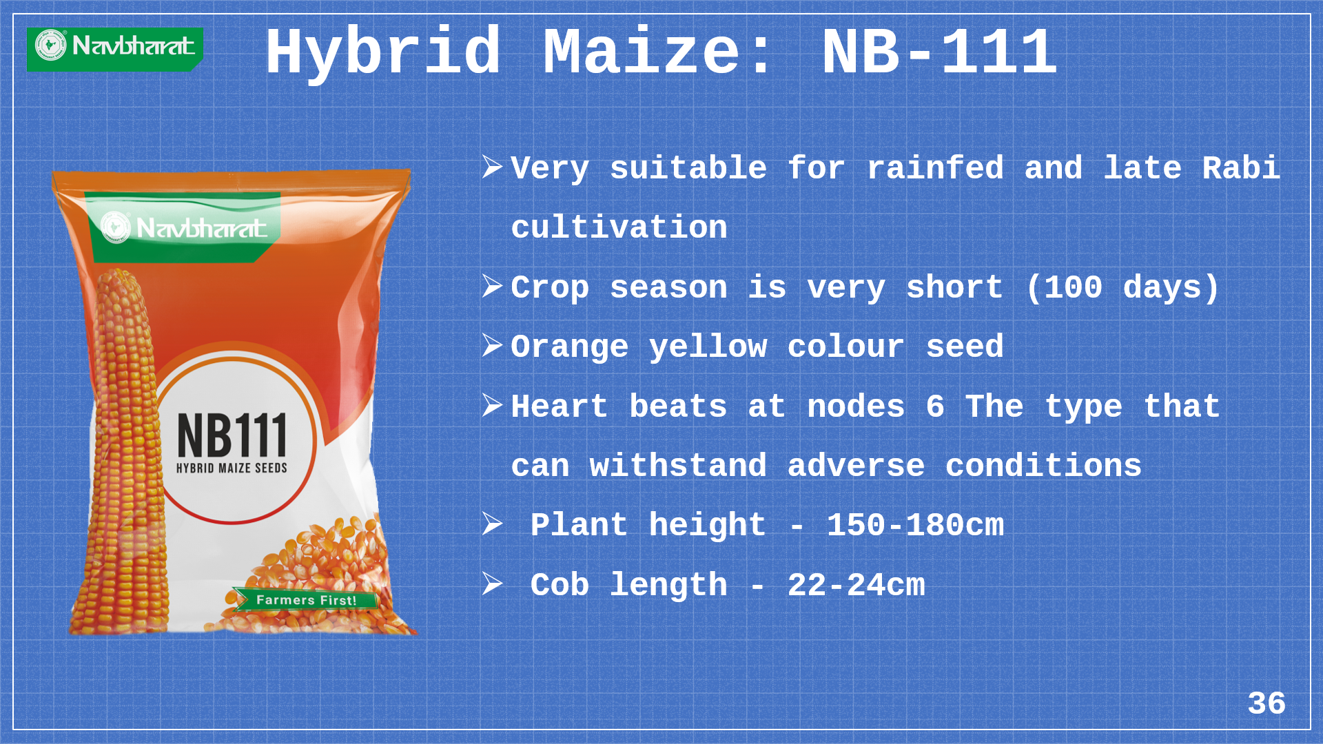 Brochure 1