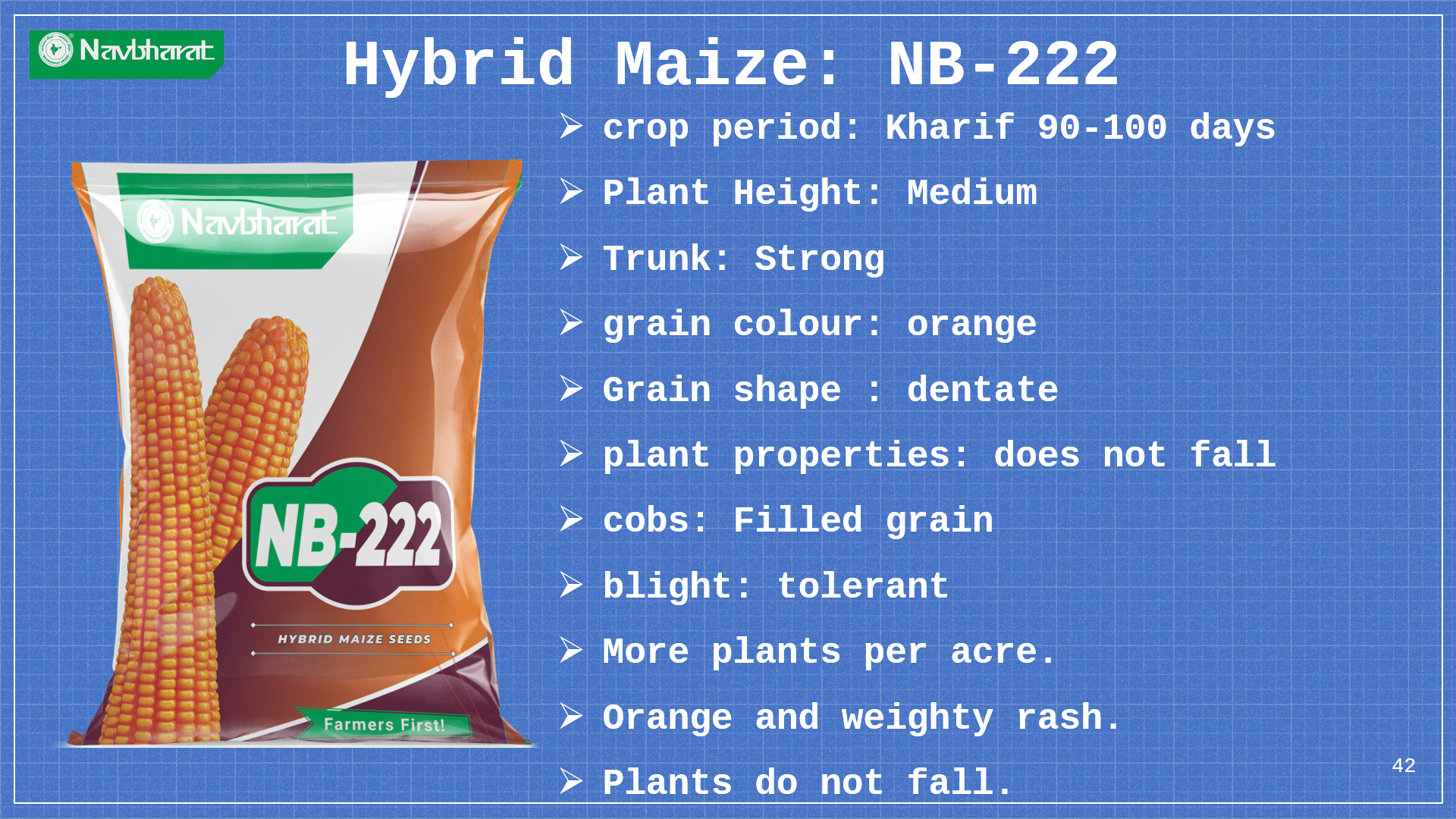 Brochure 1