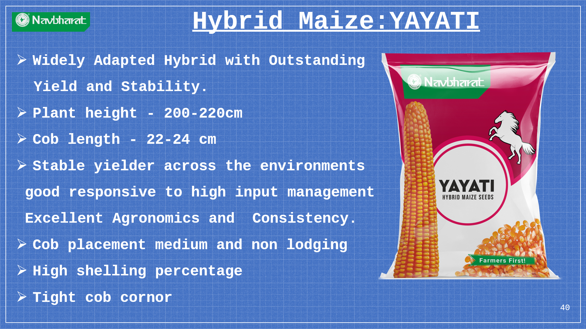 Brochure 1