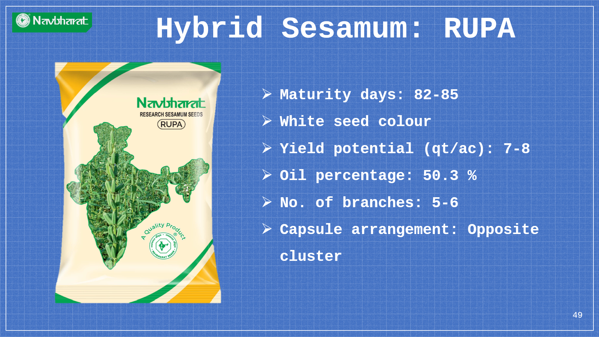 Brochure 1