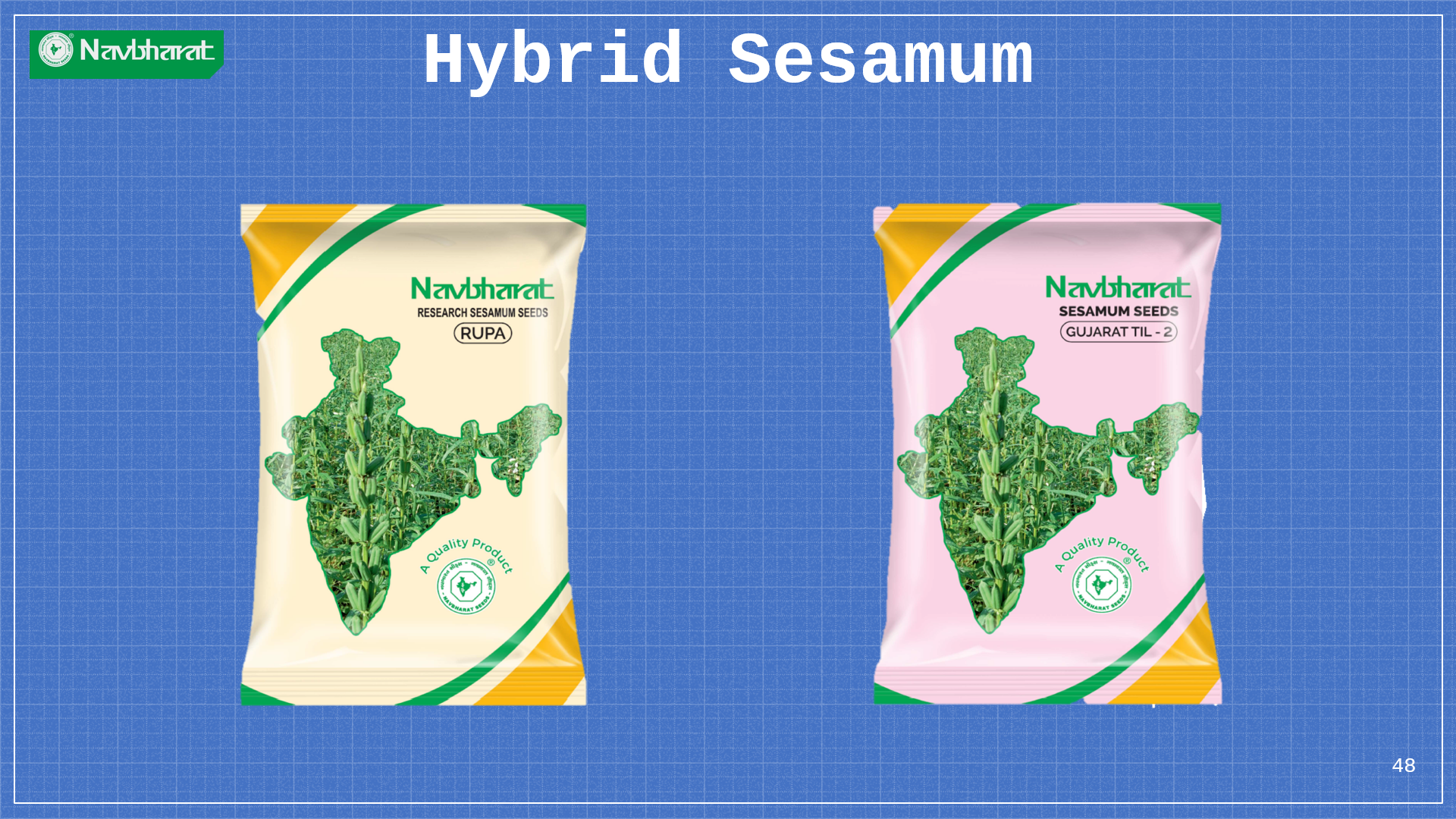 Brochure 2