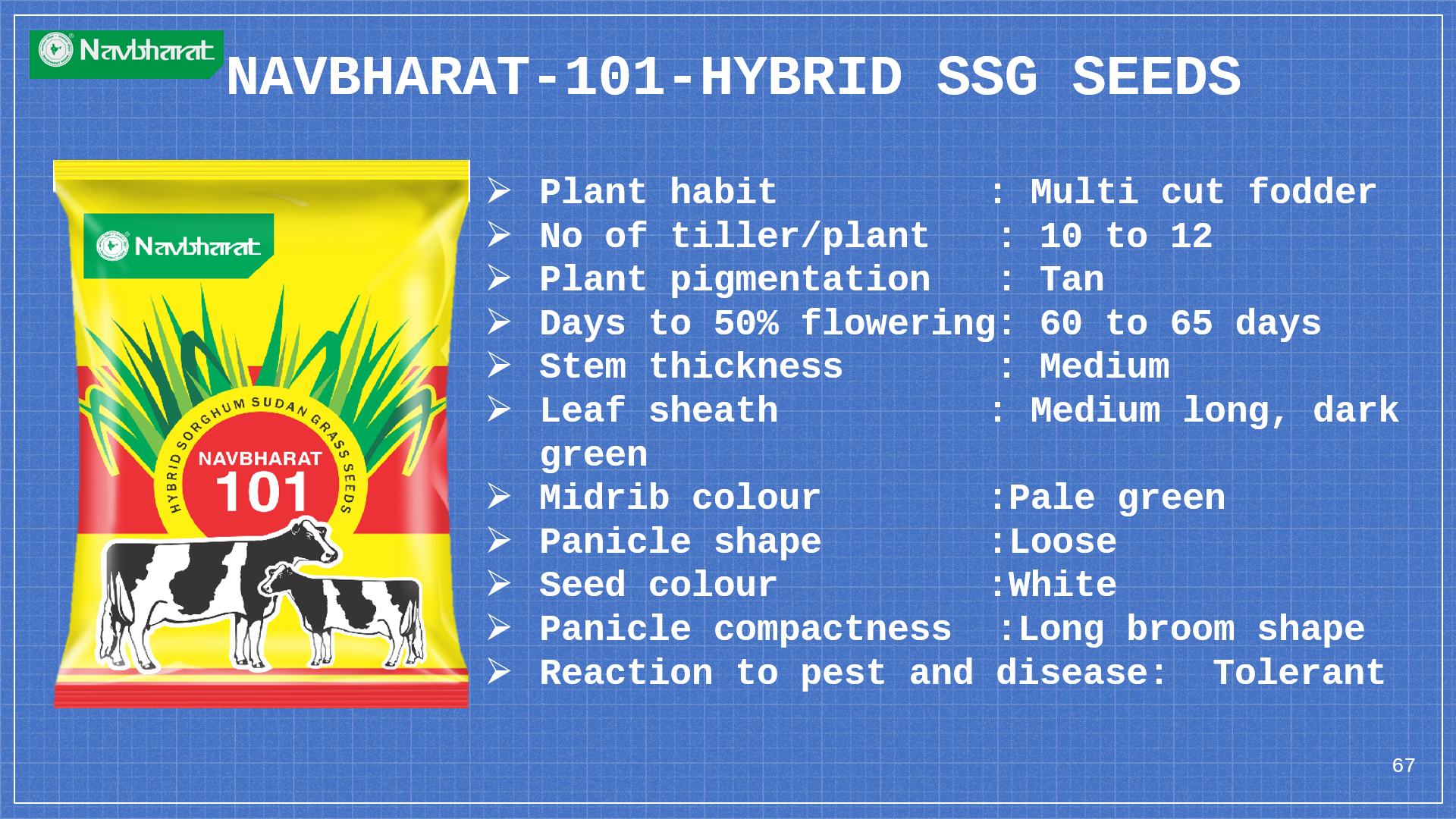 Brochure 1