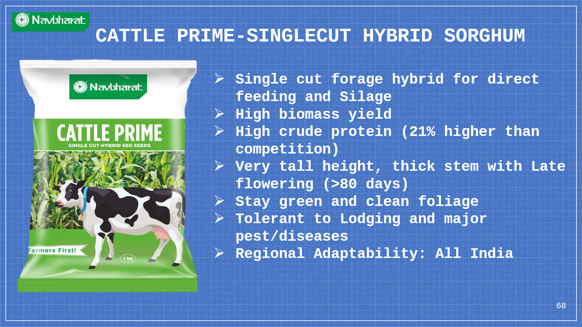 Brochure 1