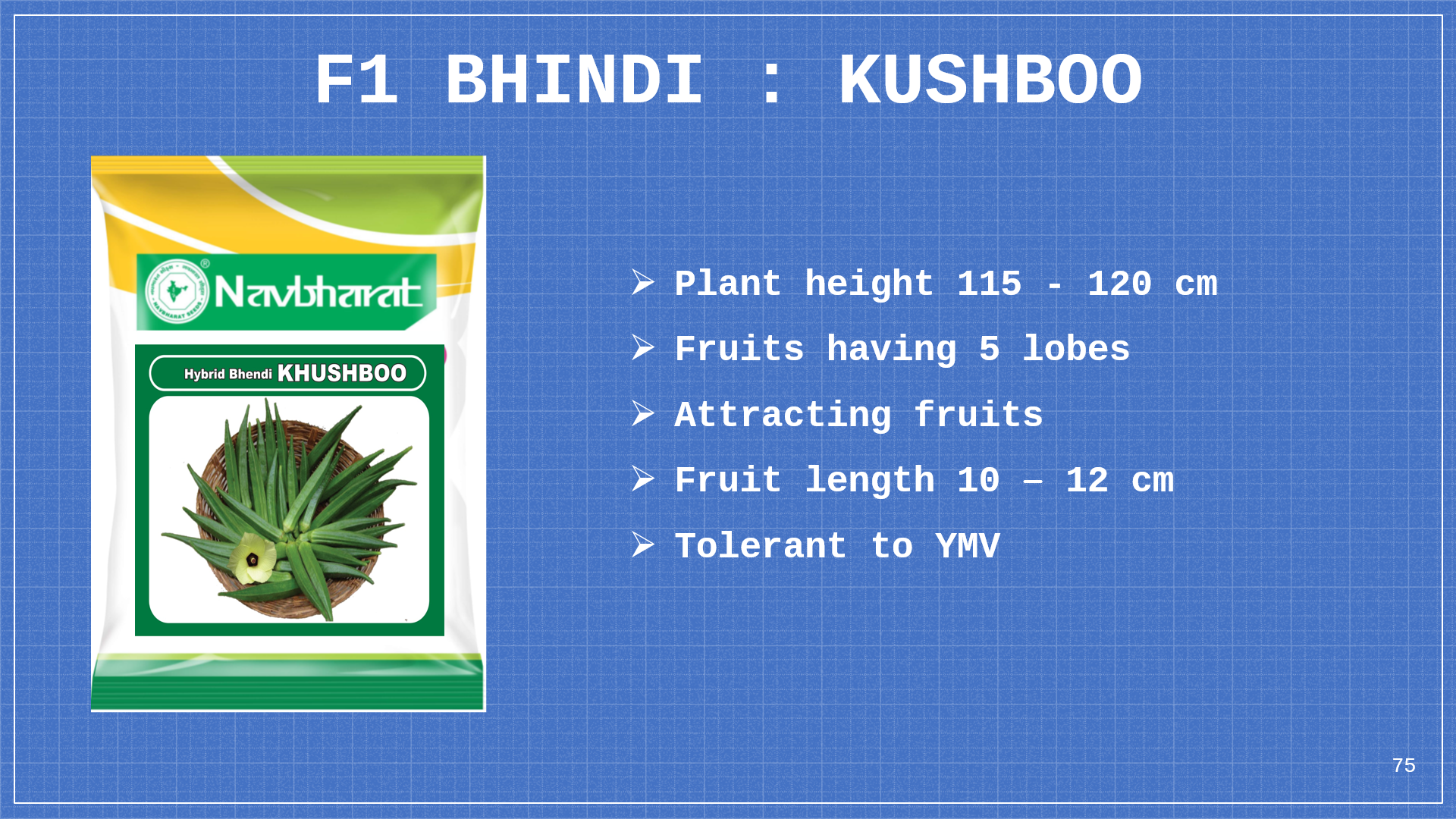Brochure 1