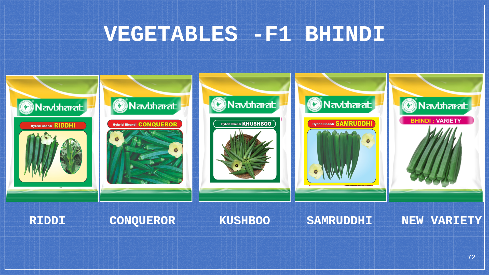 Brochure 2