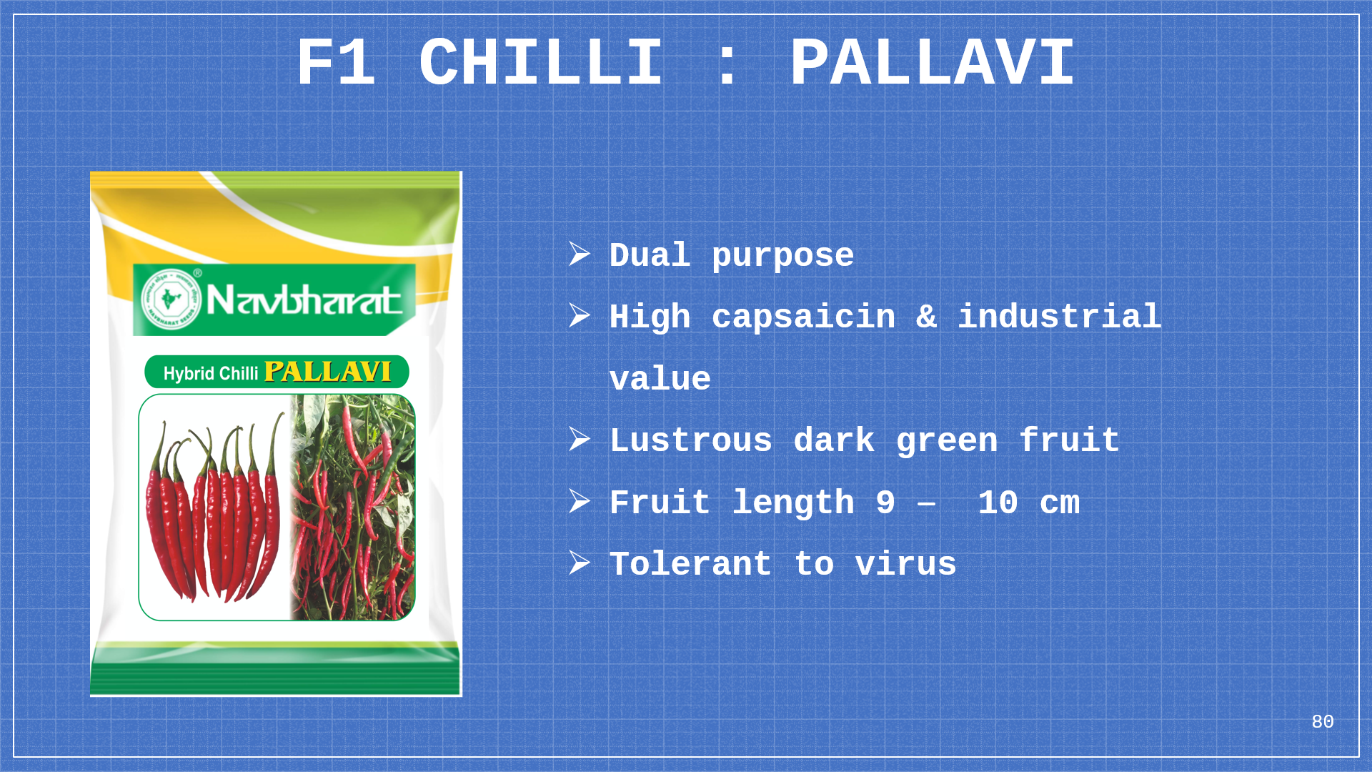 Brochure 1