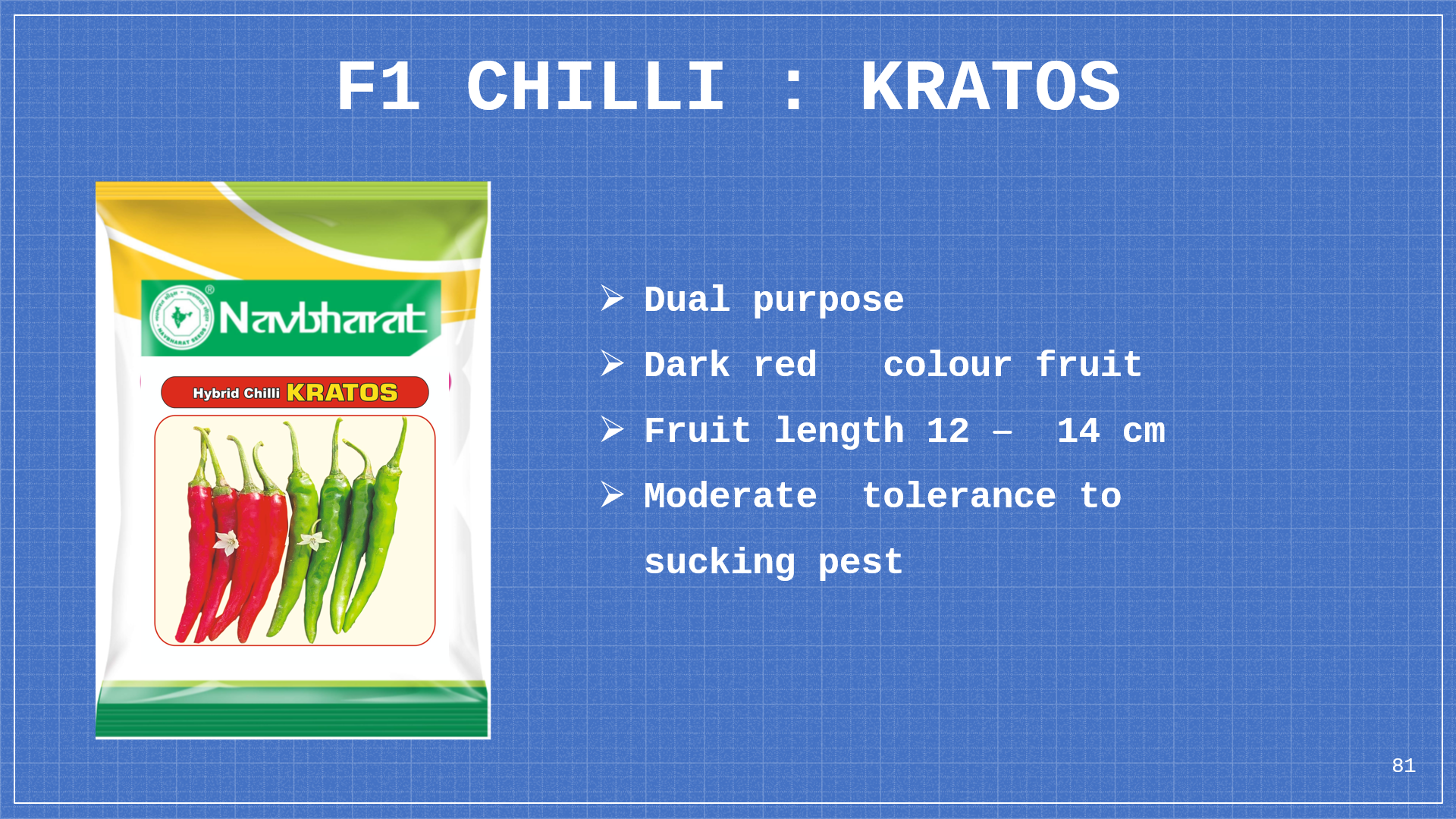 Brochure 1