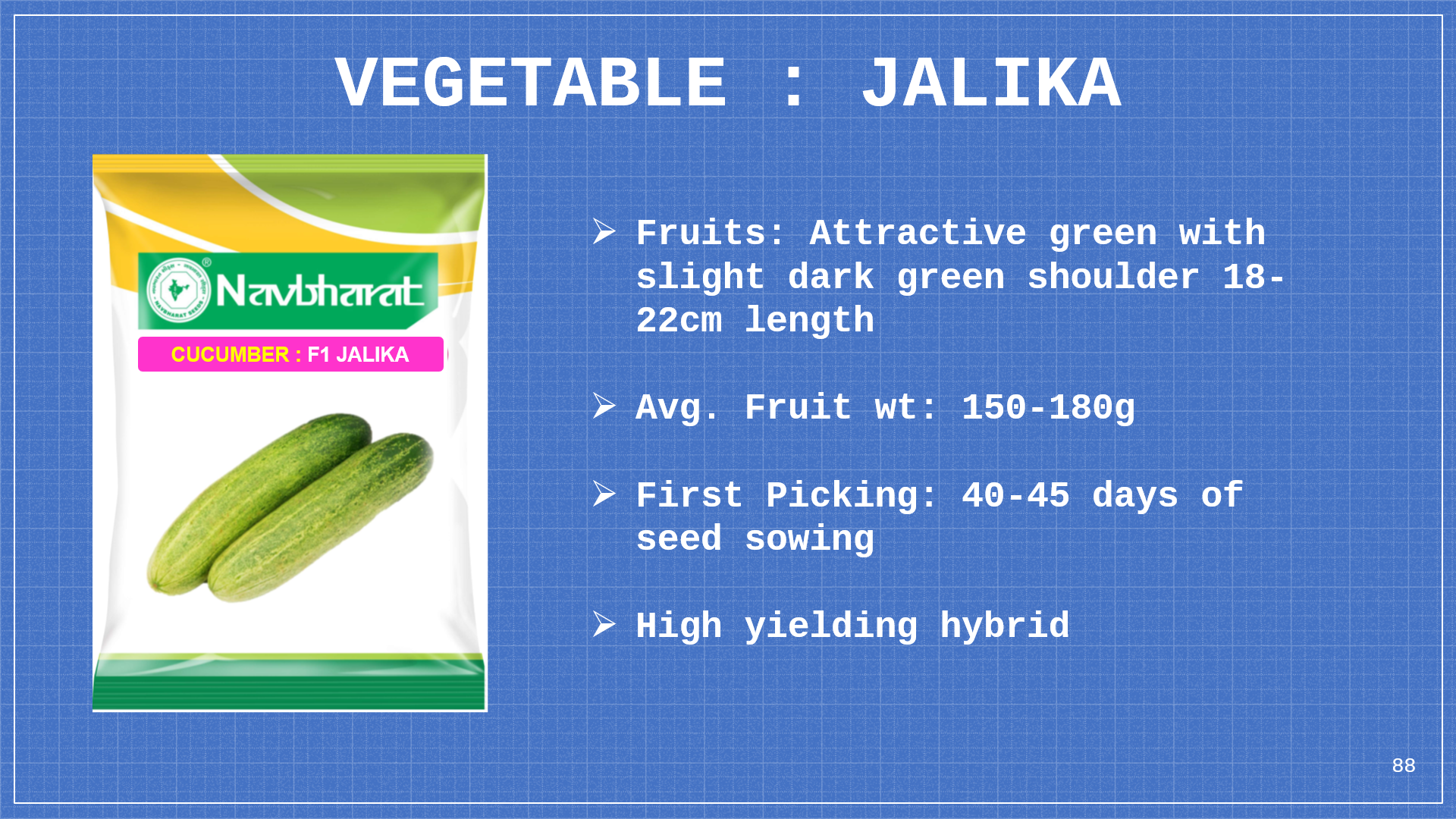 Brochure 1