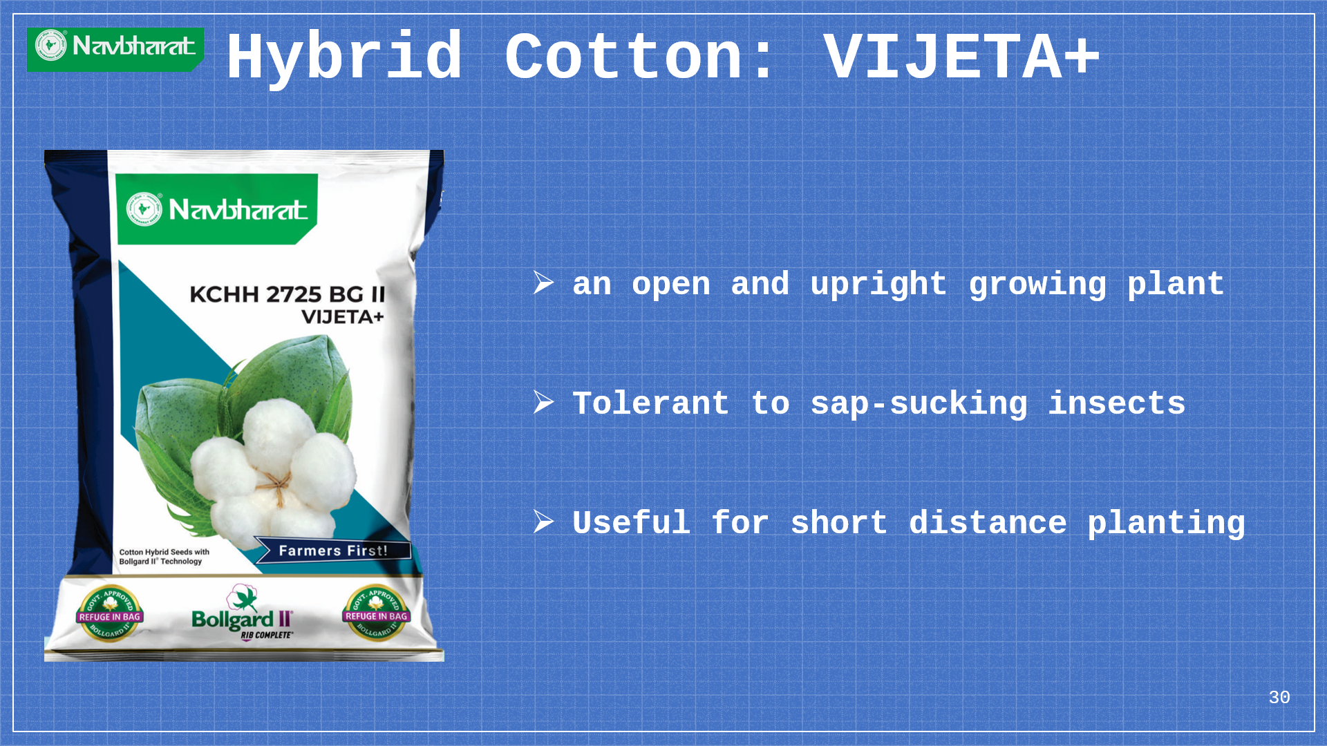 Brochure 1