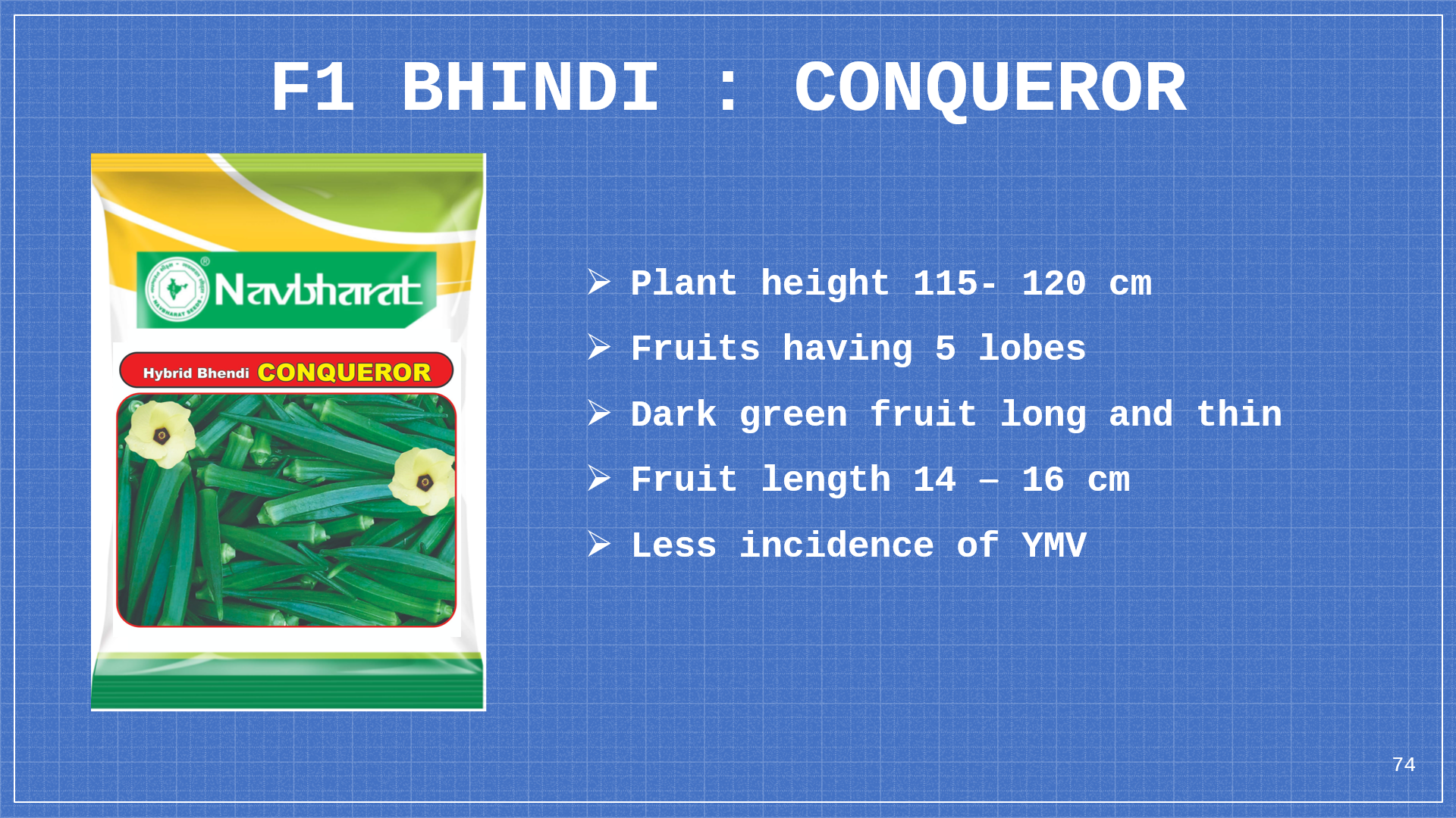 Brochure 1